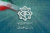 جزئیات دستگیری عاملان نارضایتی مردم در یک استان از سوی سربازان گمنام امام زمان(عج) | چند نفر دستگیر شده اند؟