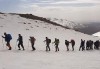 پیکر ۵ کوهنورد مفقودی پیدا شد